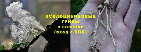 МДПВ Нягань