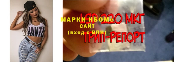 соль ск Няндома