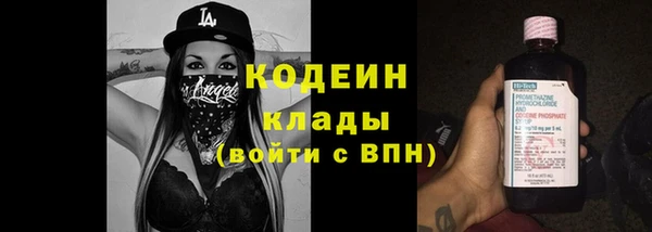 соль ск Няндома