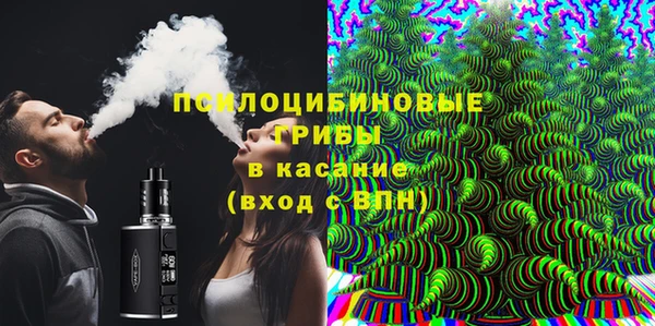 соль ск Няндома