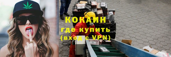 соль ск Няндома