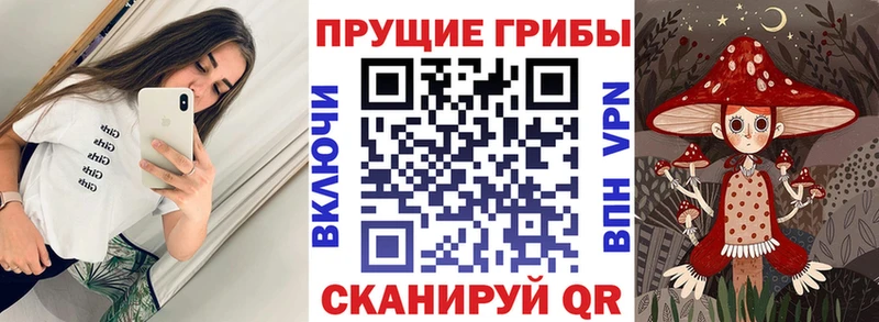 сколько стоит Рубцовск Псилоцибиновые грибы Cubensis