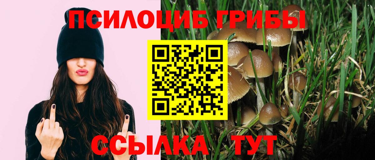 Псилоцибиновые грибы Magic Shrooms  Вход с VPN  Рубцовск  Галлюциногенные грибы мухоморы 