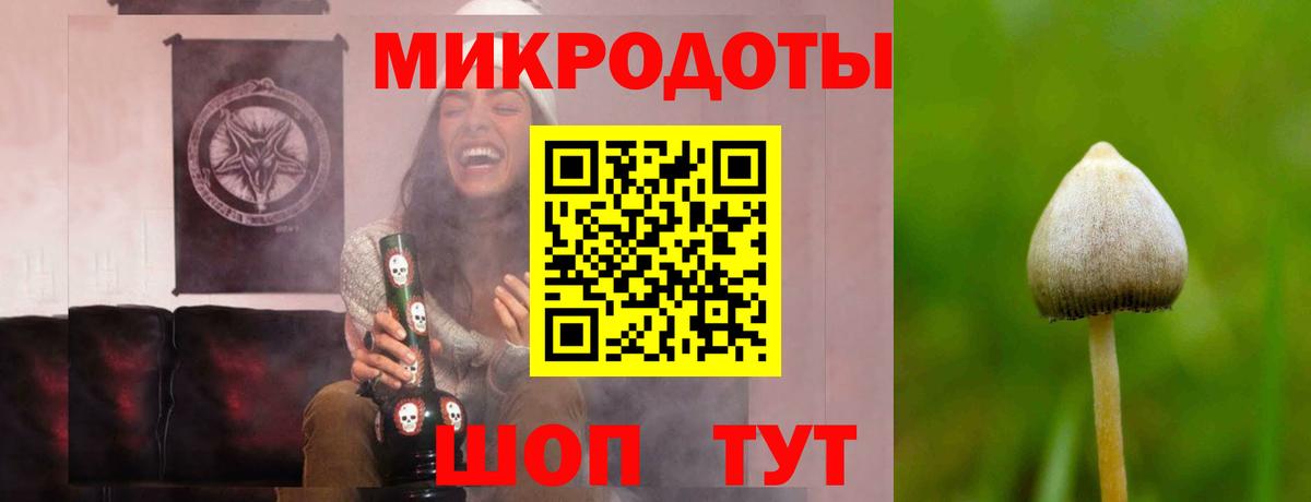 Псилоцибиновые грибы ЛСД Рубцовск