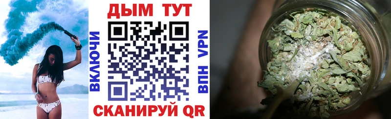 Шишки марихуана гибрид  кракен ССЫЛКА  Рубцовск 